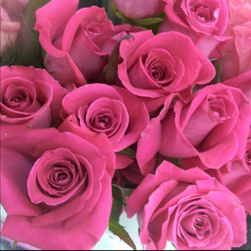 Offers Welcome 💕✨